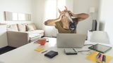 Dieses Bild ist beinahe schon wieder Kunst, immerhin wird ein typischer Stock-Photo-Moment - der schockierte Blick auf ein Notebook/Smartphone/Tablet/sonstwas - mit etwas Banalem wie einer Tiermaske parodiert.