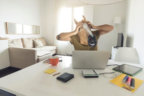 Dieses Bild ist beinahe schon wieder Kunst, immerhin wird ein typischer Stock-Photo-Moment - der schockierte Blick auf ein Notebook/Smartphone/Tablet/sonstwas - mit etwas Banalem wie einer Tiermaske parodiert.