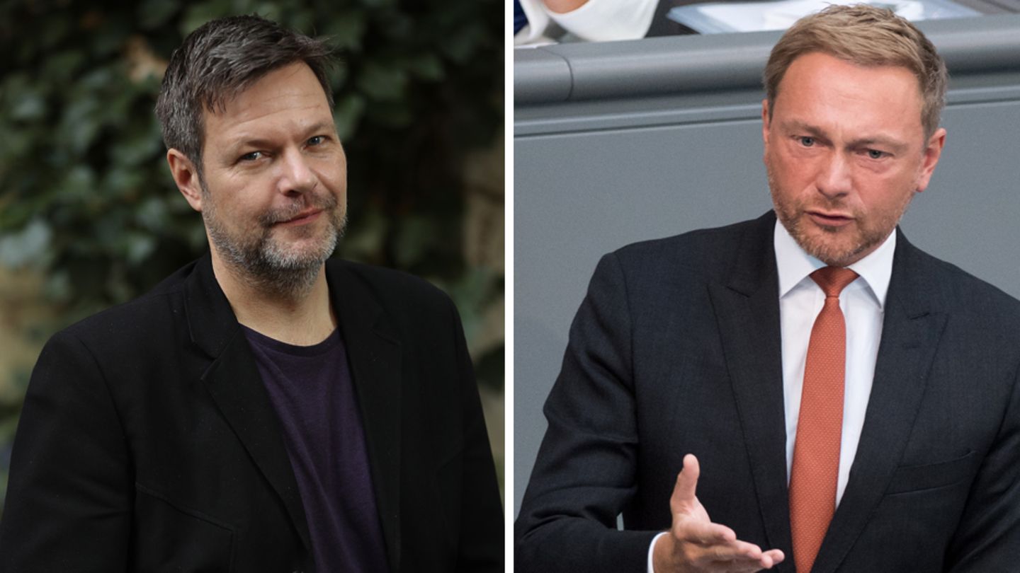 Robert Habeck und Christian Lindner (Combo) streiten über den Fall Sami A.