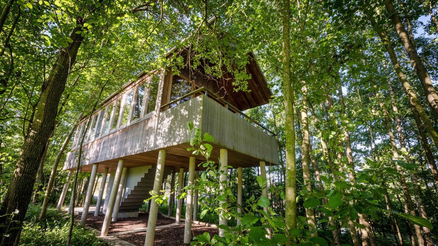 Baumhaus bei Hofgut Baumhaus bei Hofgut