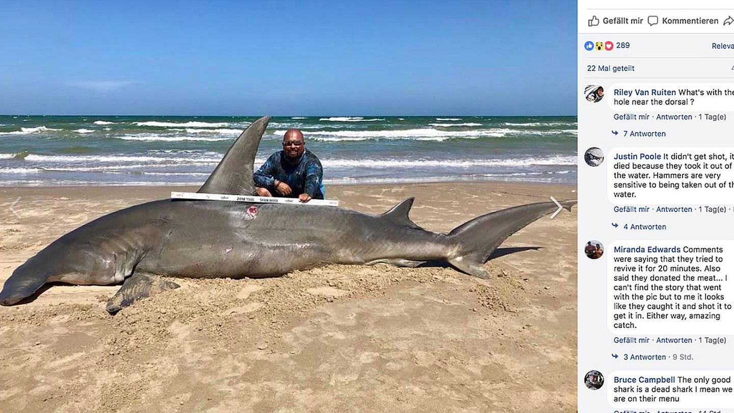 Angler Poco Cedillo kniet neben seinem Hai-Fang