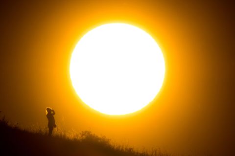 Nicht nur in Deutschland - hier ein Foto aus der Nähe von Hannover - herrscht große Hitze. Auch in Großbritannien ist es ungewöhnlich warm.