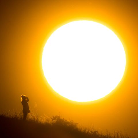 Nicht nur in Deutschland - hier ein Foto aus der Nähe von Hannover - herrscht große Hitze. Auch in Großbritannien ist es ungewöhnlich warm.