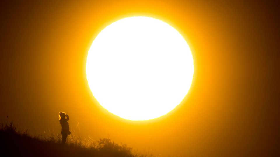 Nicht nur in Deutschland - hier ein Foto aus der Nähe von Hannover - herrscht große Hitze. Auch in Großbritannien ist es ungewöhnlich warm.