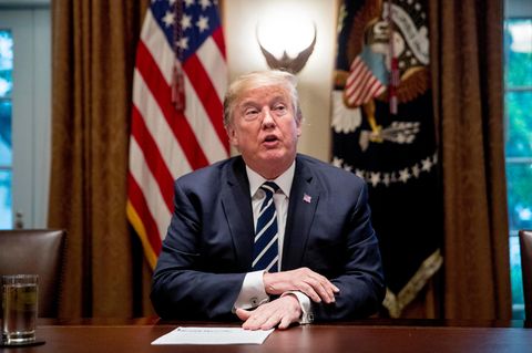 Donald Trump im Kabinett