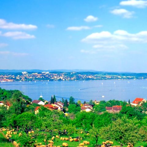 Bodensee