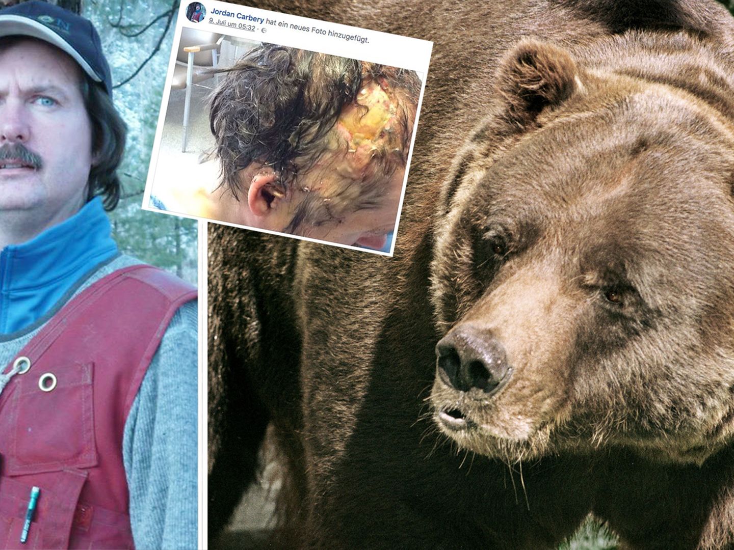 Kanada: Mann will Foto machen und wird von Grizzlybär-Mama attackiert |  STERN.de