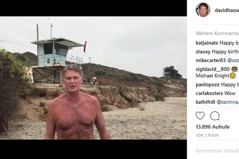 David Hasselhoff