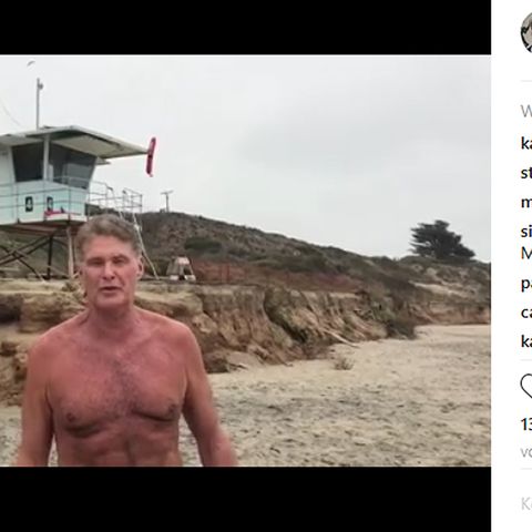 David Hasselhoff