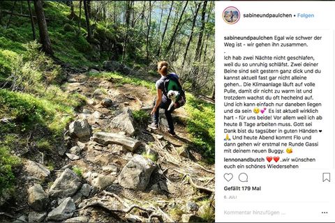 Sabine wandert durch einen Wald und trägt ihren Mops in einem Rucksack auf dem Rücken