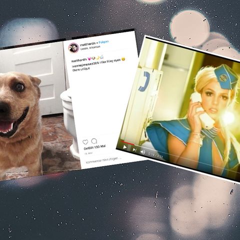 Hund Riley und Britney Spears