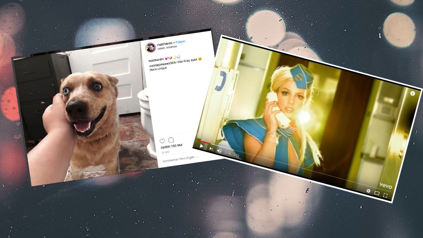 Hund Riley und Britney Spears
