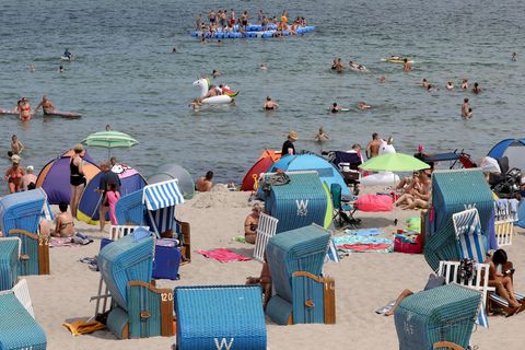 Bakterien in der Ostsee
