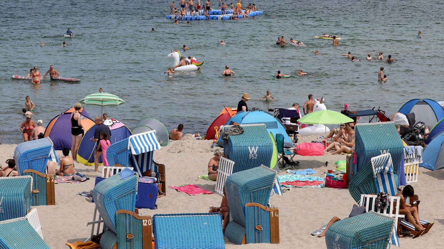 Bakterien in der Ostsee