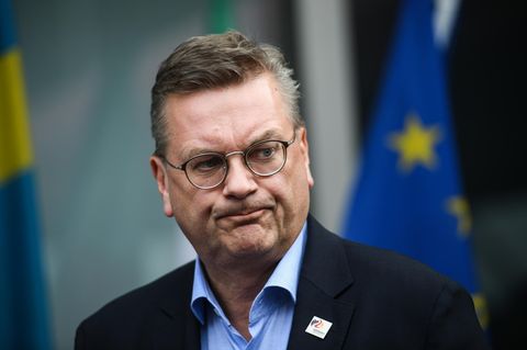 DFB-Präsident Reinhard Grindel im Porträt