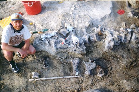"Bigfoot": Dinosaurier-Fuß in den USA