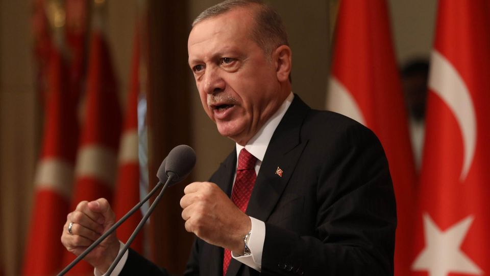 Der türkische Präsident Erdogan lobte Mesut Özil