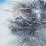 Plastik: Spümaschinenpulver statt Pads