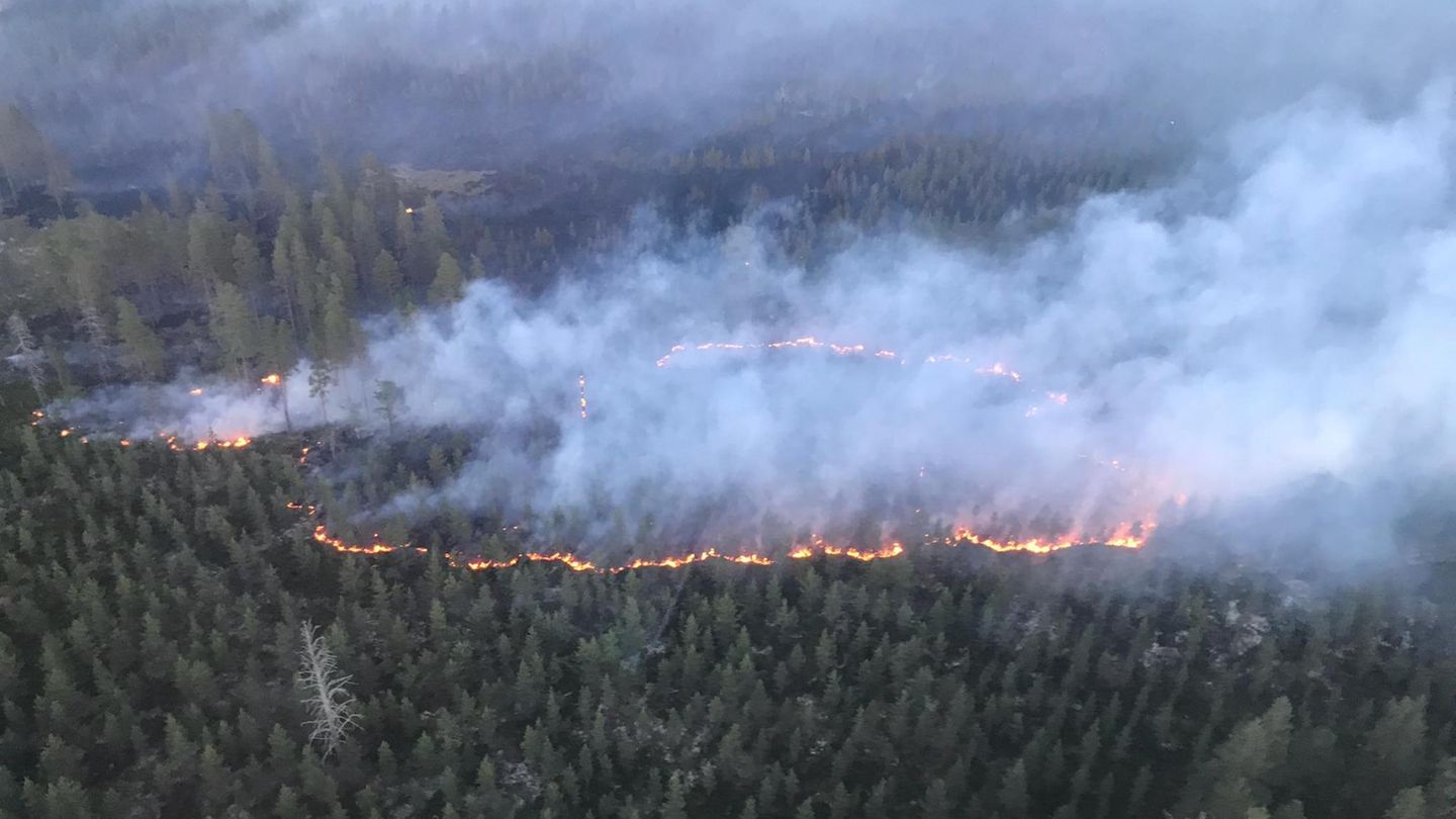 Schwedisches Militär wirft Bombe über Waldbrand ab