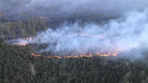 Schwedisches Militär wirft Bombe über Waldbrand ab