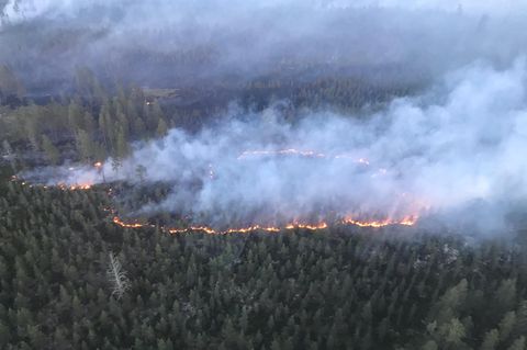 Schwedisches Militär wirft Bombe über Waldbrand ab