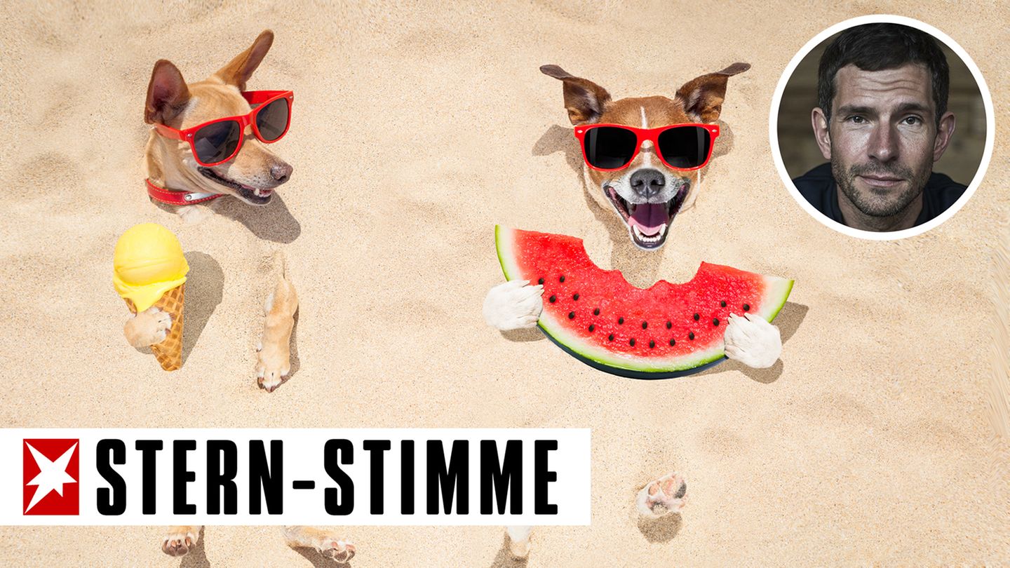 Micky Beisenherz über den Sommer