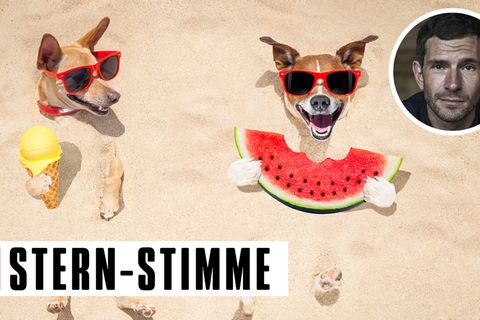 Micky Beisenherz über den Sommer