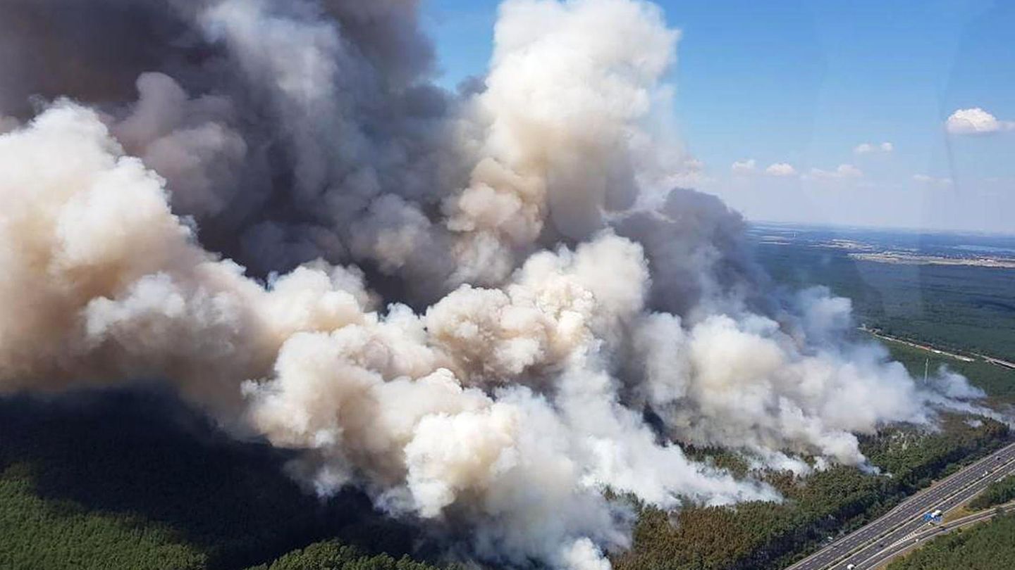 90 Hektar Wald stehen in Brandenburg in Flammen