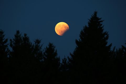 Dieses Foto zeigt eine partielle Monfinsternis. Heute Nacht ist über Deutschland die längste totale Mondfinsternis des Jahrhunderts zu sehen.