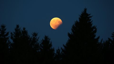 Dieses Foto zeigt eine partielle Monfinsternis. Heute Nacht ist über Deutschland die längste totale Mondfinsternis des Jahrhunderts zu sehen.