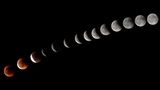 Diese Aufnahmen über den Verlauf der Mondfinsternis entstanden auf den Kanarischen Inseln und wurde später per Photoshop zu einem Bild zusammenmontiert.