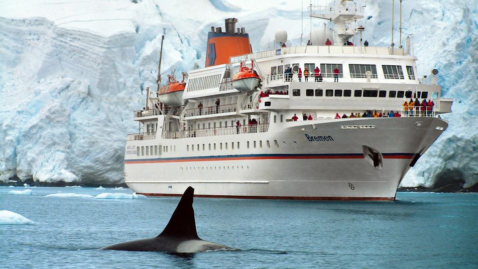 Das kleine Kreuzfahrtschiff "MS Bremen" ist speziell für Reisen in die Polarregionen ausgerüstet und bietet Platz für maximal 155 Kreuzfahrtgäste.