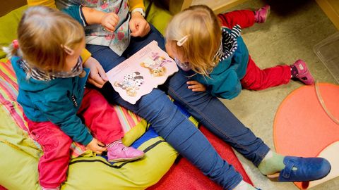 Eine Erzieherin liest mit Zwillingen ein Buch.