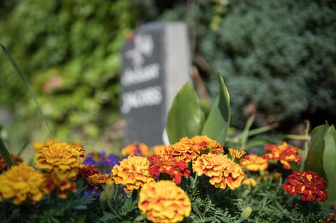 losheim - friedhof - klopfgeräusche - grab