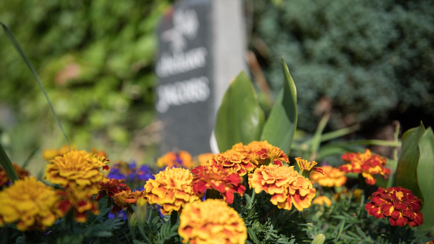 losheim - friedhof - klopfgeräusche - grab