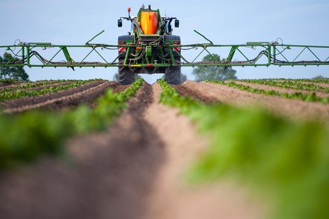 Hitzewelle: Bauernverband fordert eine Milliarde Euro