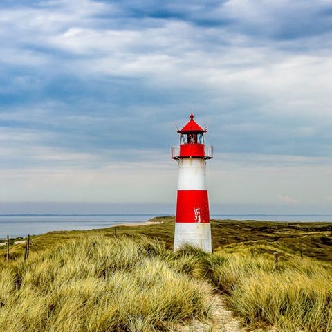Geheimtipps: Das sind die schönsten Strände der Nord- und Ostsee – und manche sind fast menschenleer