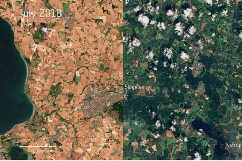 Hitzewelle 2018: Satellitenbilder zeigen: So gravierend sind die Auswirkungen auf die Vegetation