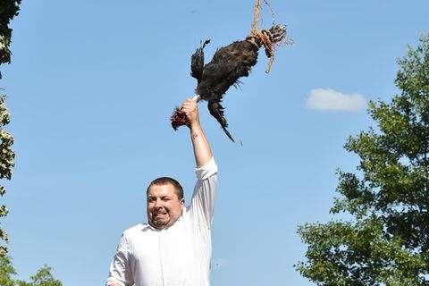 Hahnenrupfen: Sorbische Tradition spaltet Tierschützer und Bewohner