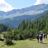 Der Weg Nr. 602 führt später durch eine ebenes Hochtal. Das Ziel ist die Contrin-Hütte links oben im Kar zwischen Baumgrenze und Felswänden.