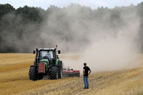 Bauern kämpfen mit Hitze-Dürre