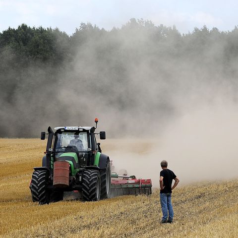 Bauern kämpfen mit Hitze-Dürre