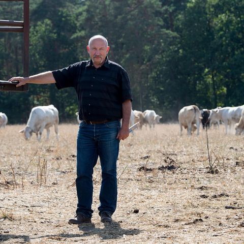 Landwirt Matthias Böbel von der Erzeugergemeinschaft Agrarprodukte eG steht auf einer vertrockneten Weide.