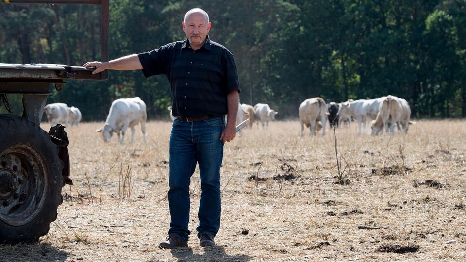 Landwirt Matthias Böbel von der Erzeugergemeinschaft Agrarprodukte eG steht auf einer vertrockneten Weide.