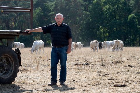 Landwirt Matthias Böbel von der Erzeugergemeinschaft Agrarprodukte eG steht auf einer vertrockneten Weide.