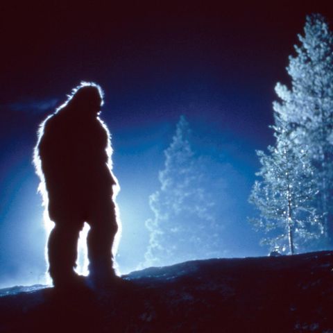 Die Legende des Bigfoot