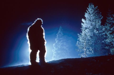 Die Legende des Bigfoot
