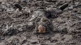 Wacken 2018