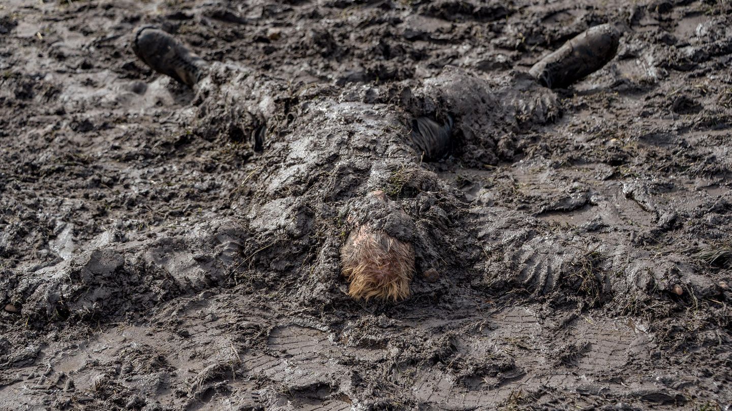 Wacken 2018