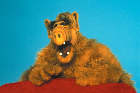 Alf